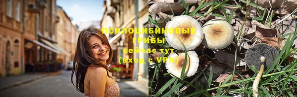не бодяженный Абаза