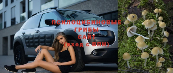 гидра Абдулино