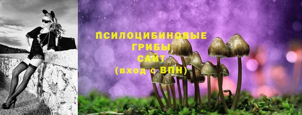гидра Абдулино