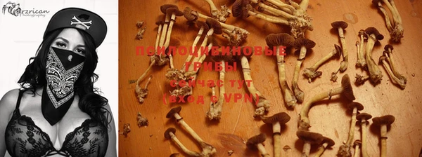 гидра Абдулино